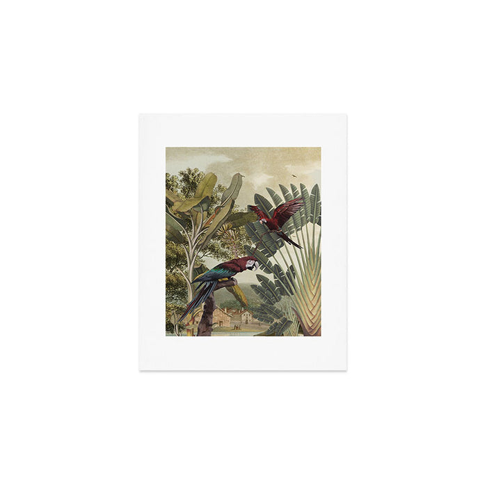 Parrot Garden Art Print Gallery Image 1