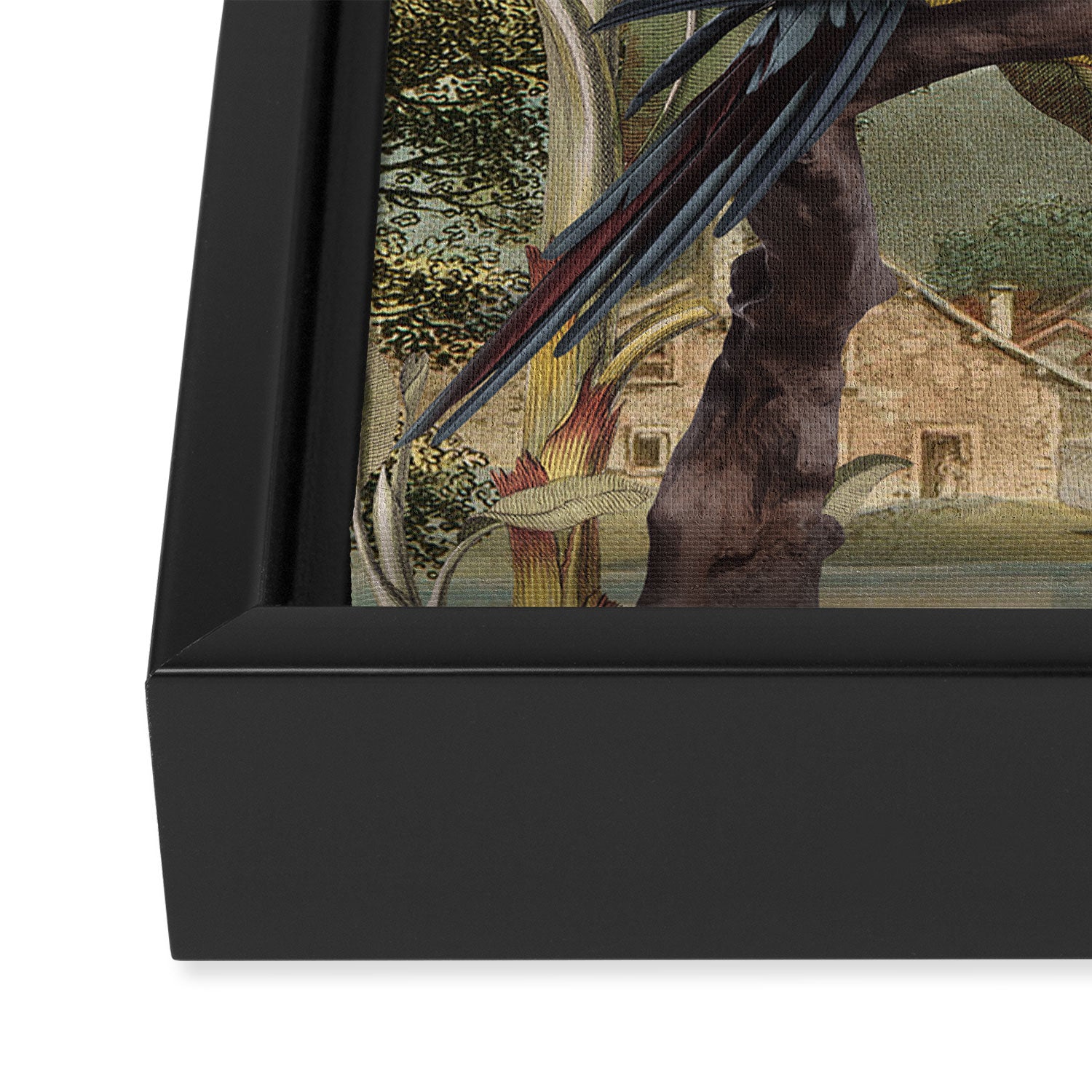 Parrot Garden Framed Canvas Print Gallery Image 3