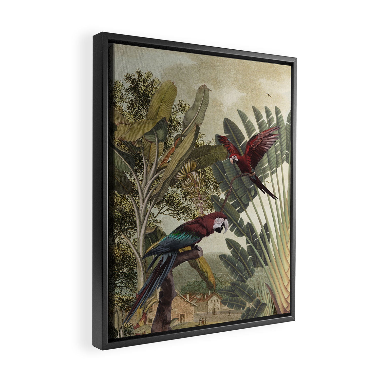 Parrot Garden Framed Canvas Print Gallery Image 2