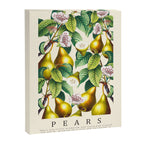 PEARS Canvas Print Gallery Image 6