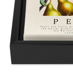 PEARS Framed Canvas Print Gallery Image 3