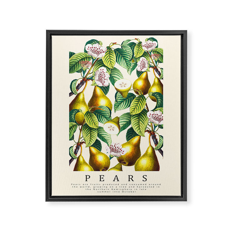 PEARS Framed Canvas Print Gallery Image 6