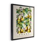 PEARS Framed Canvas Print Gallery Image 2