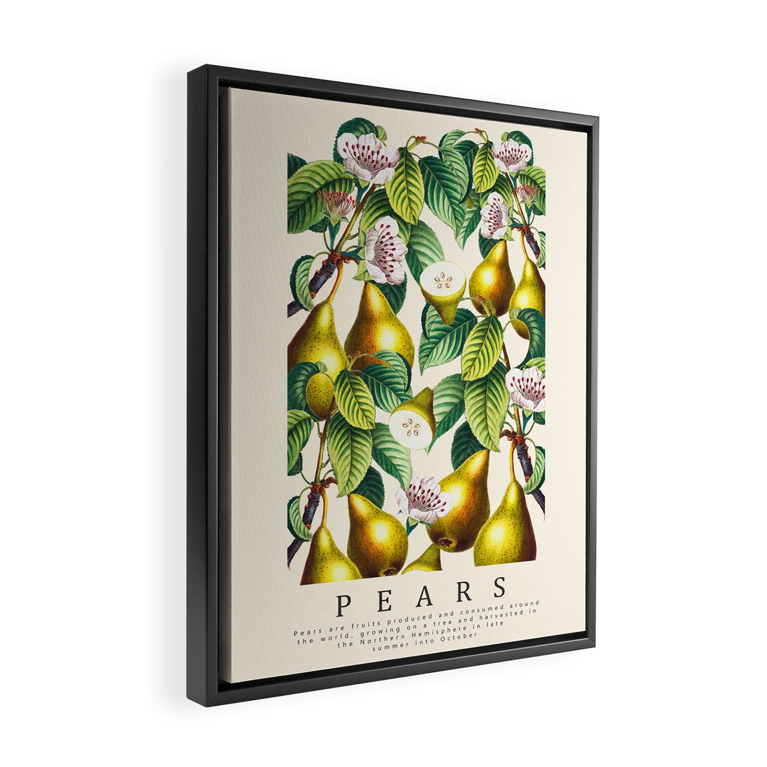 PEARS Framed Canvas Print Gallery Image 2
