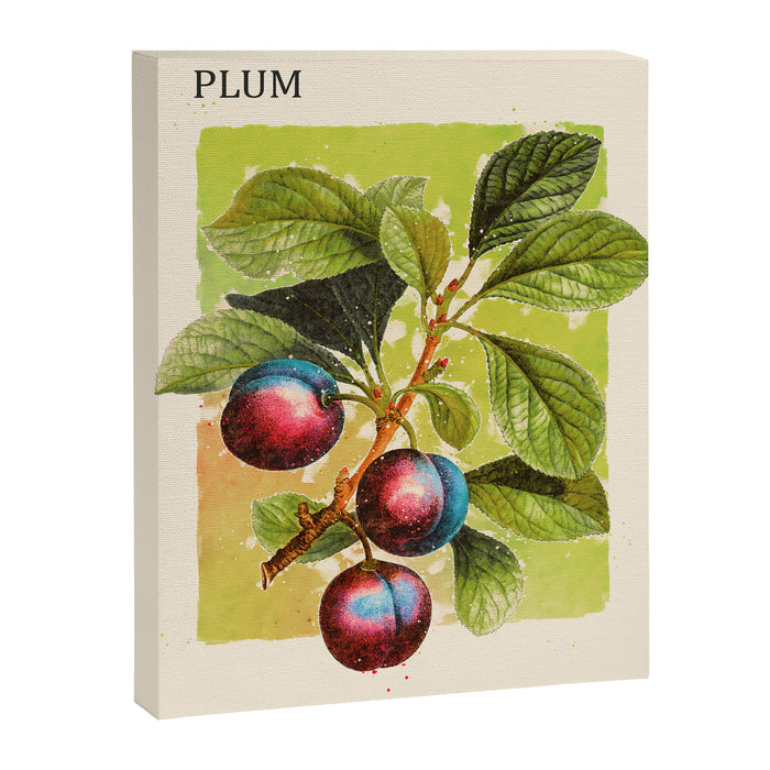 Plum Canvas Print Gallery Image 1