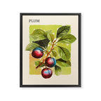Plum Framed Canvas Print Gallery Image 6