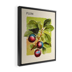 Plum Framed Canvas Print Gallery Image 2