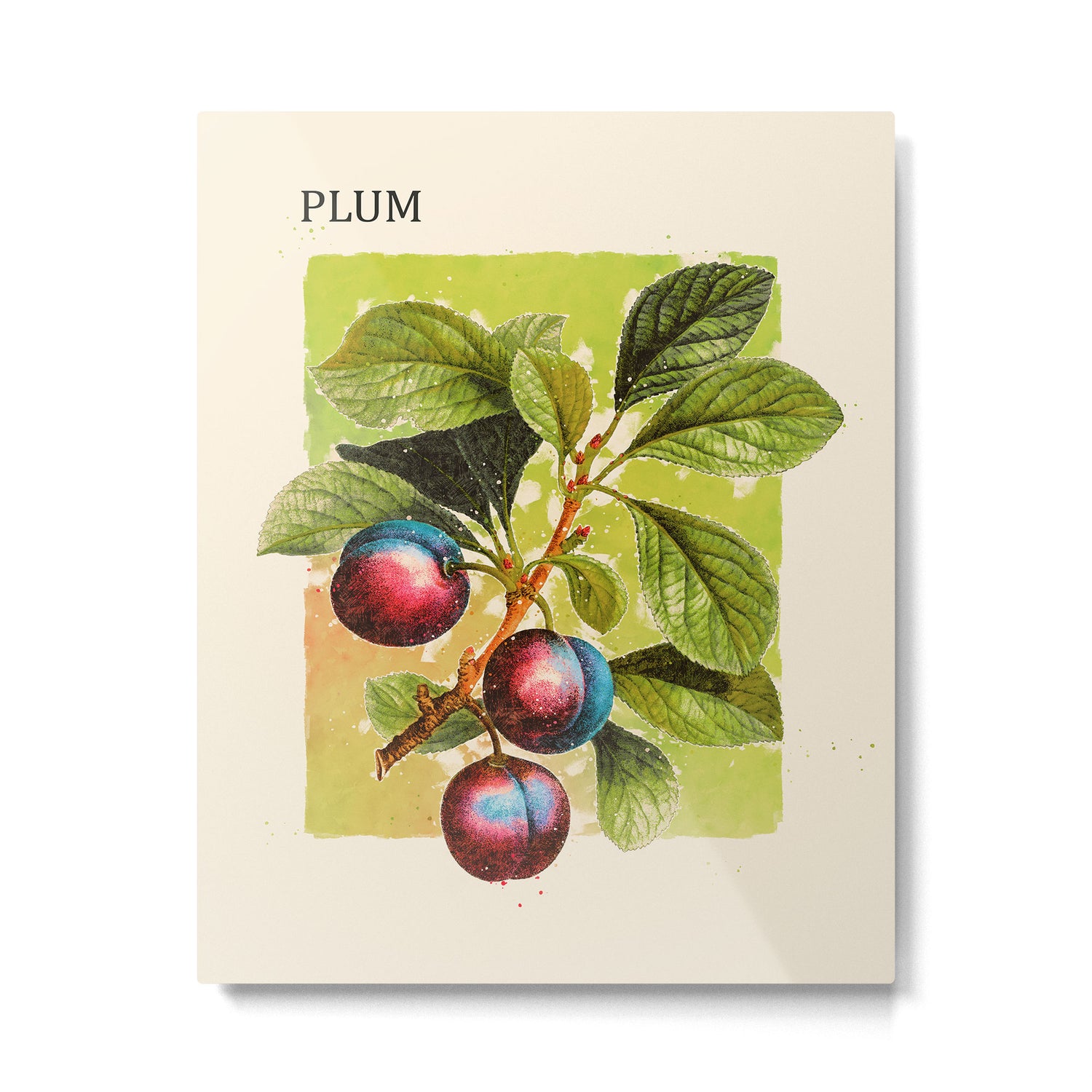 Plum Metal Print Gallery Image 4