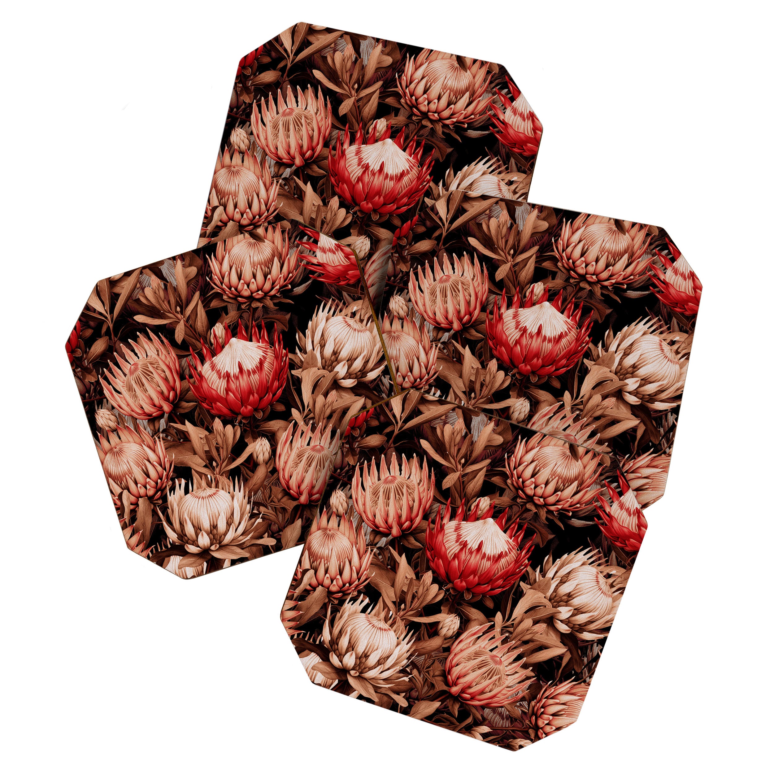 Protea Garden Night Coaster Gallery Image 1