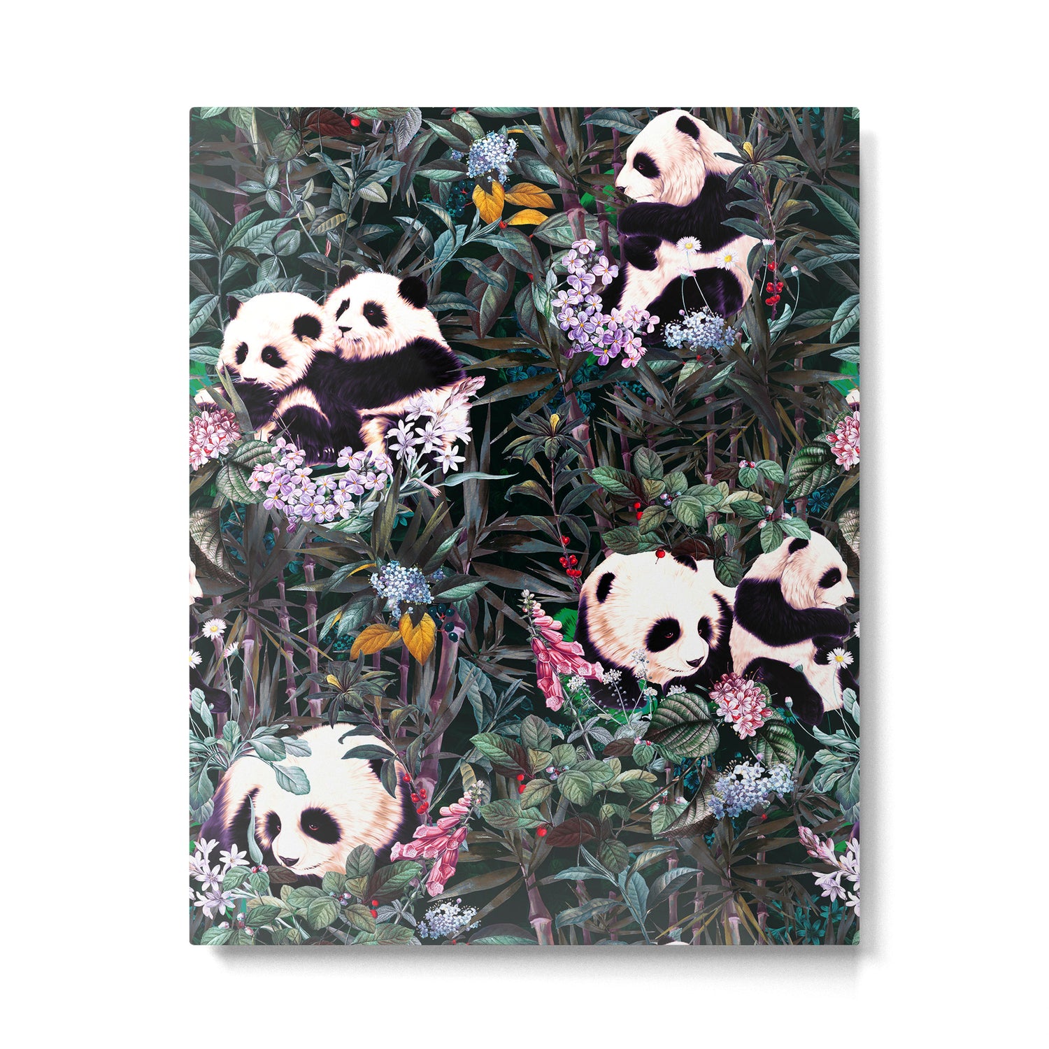 Rainforest Pandas Metal Print Gallery Image 4
