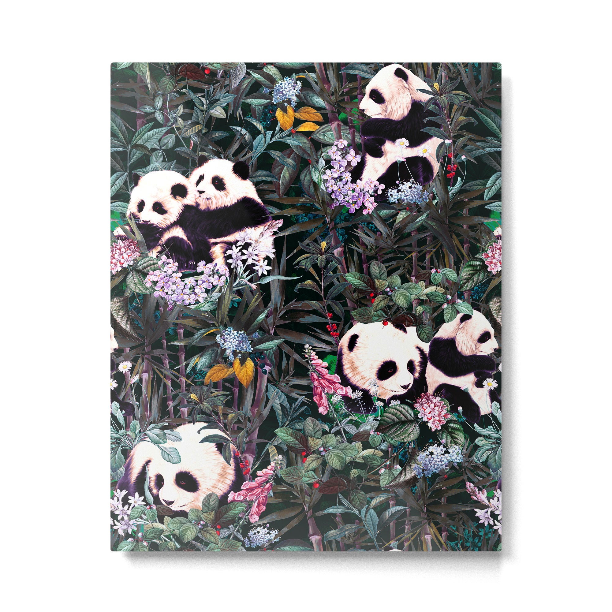 Rainforest Pandas Metal Print Gallery Image 4