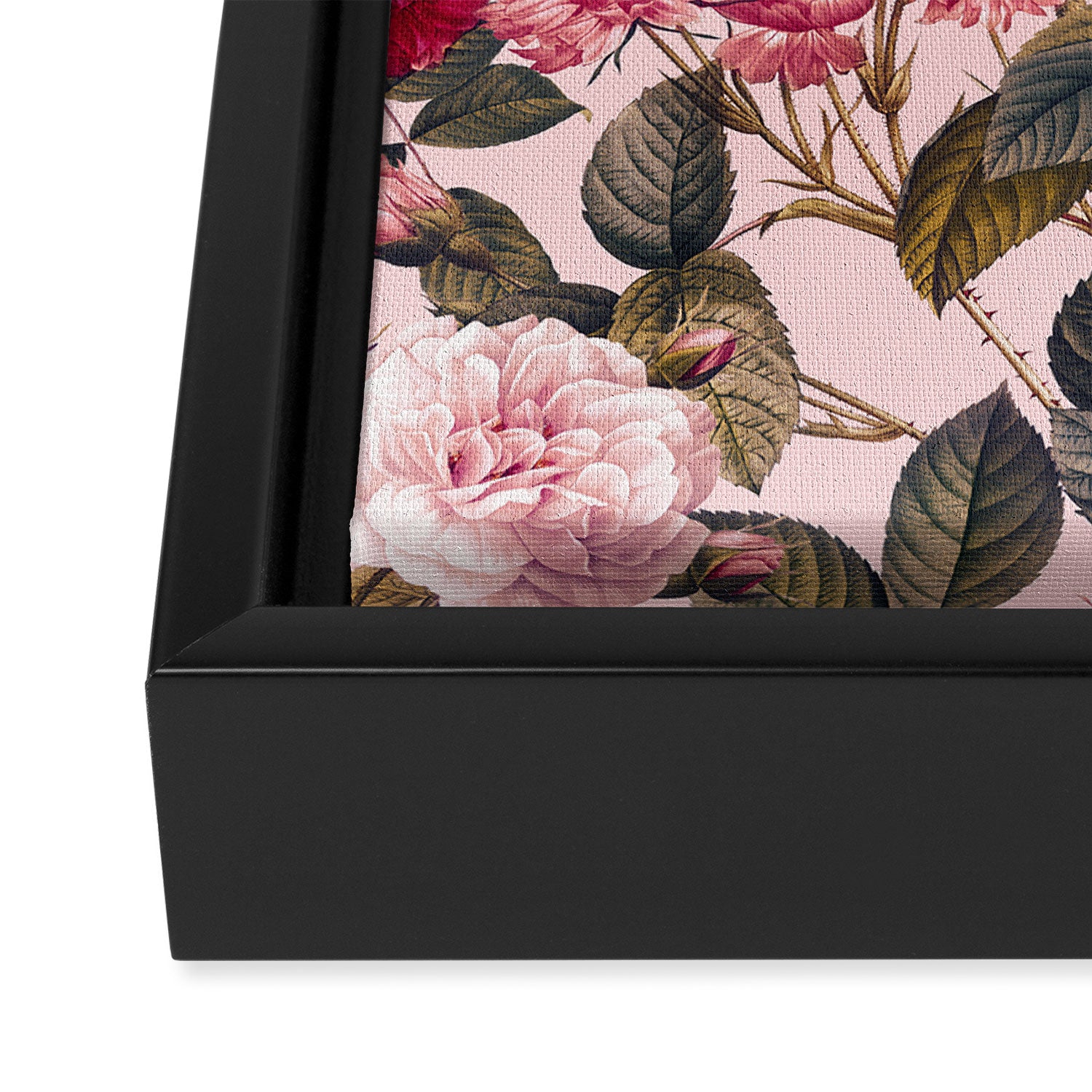 Rose Garden V Framed Canvas Print Gallery Image 3