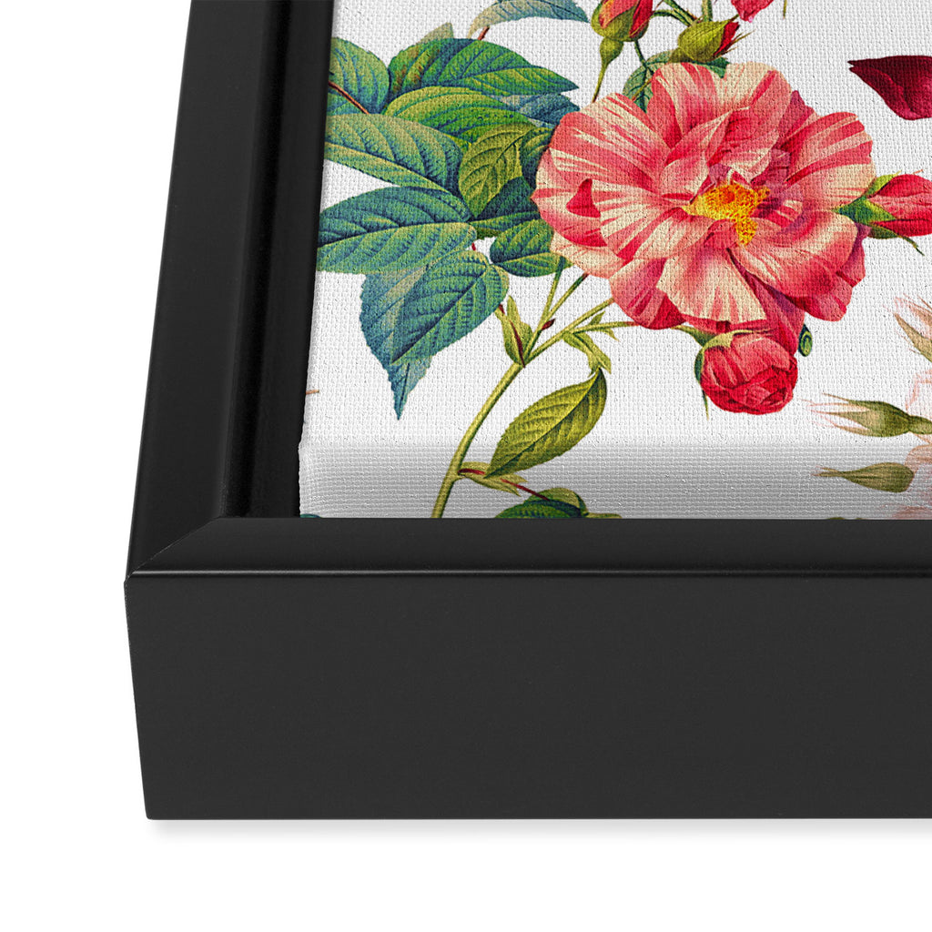 Rose Garden VII Framed Canvas Print Gallery Image 3