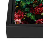 Rose Night Garden Framed Canvas Print Gallery Image 3