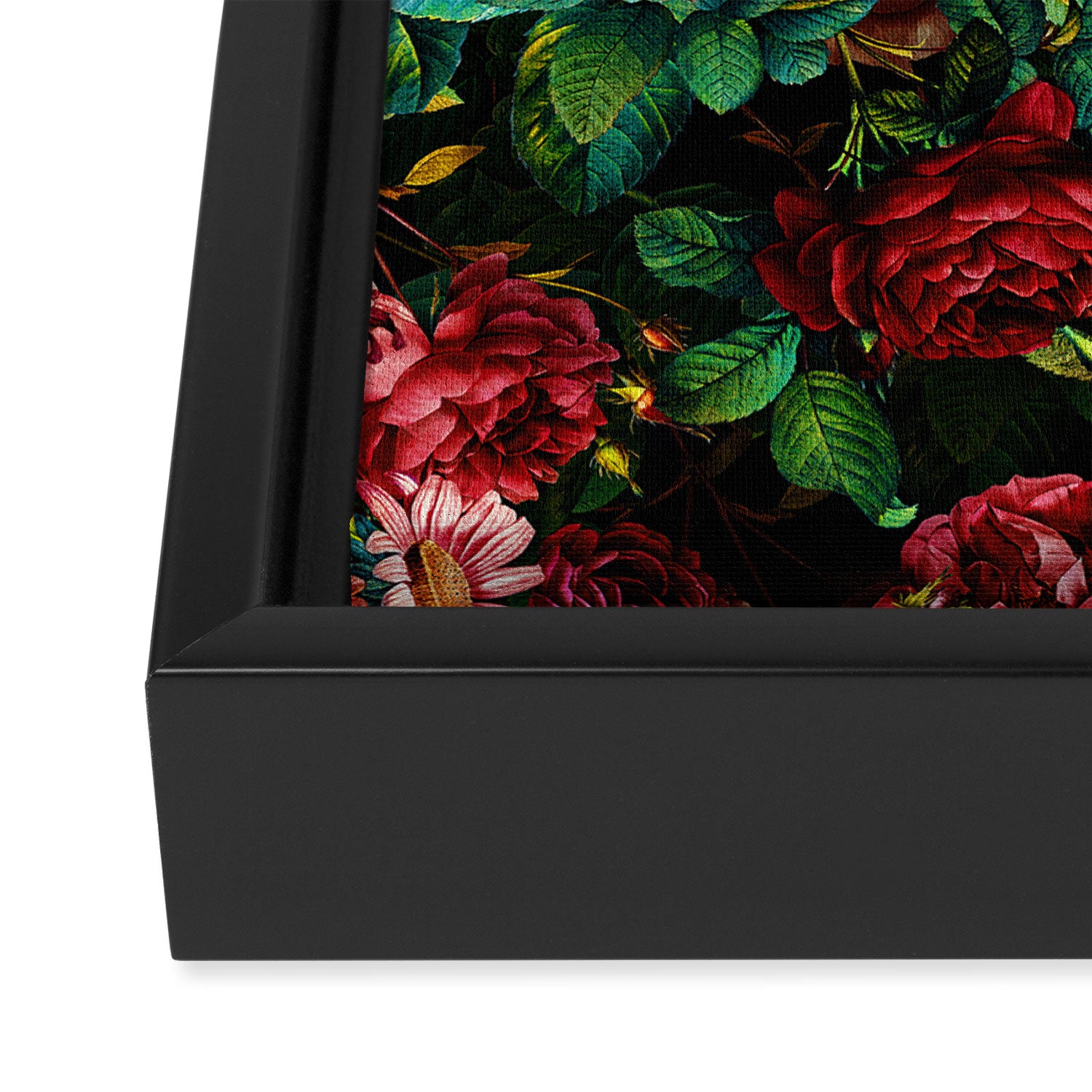 Rose Night Garden Framed Canvas Print Gallery Image 3