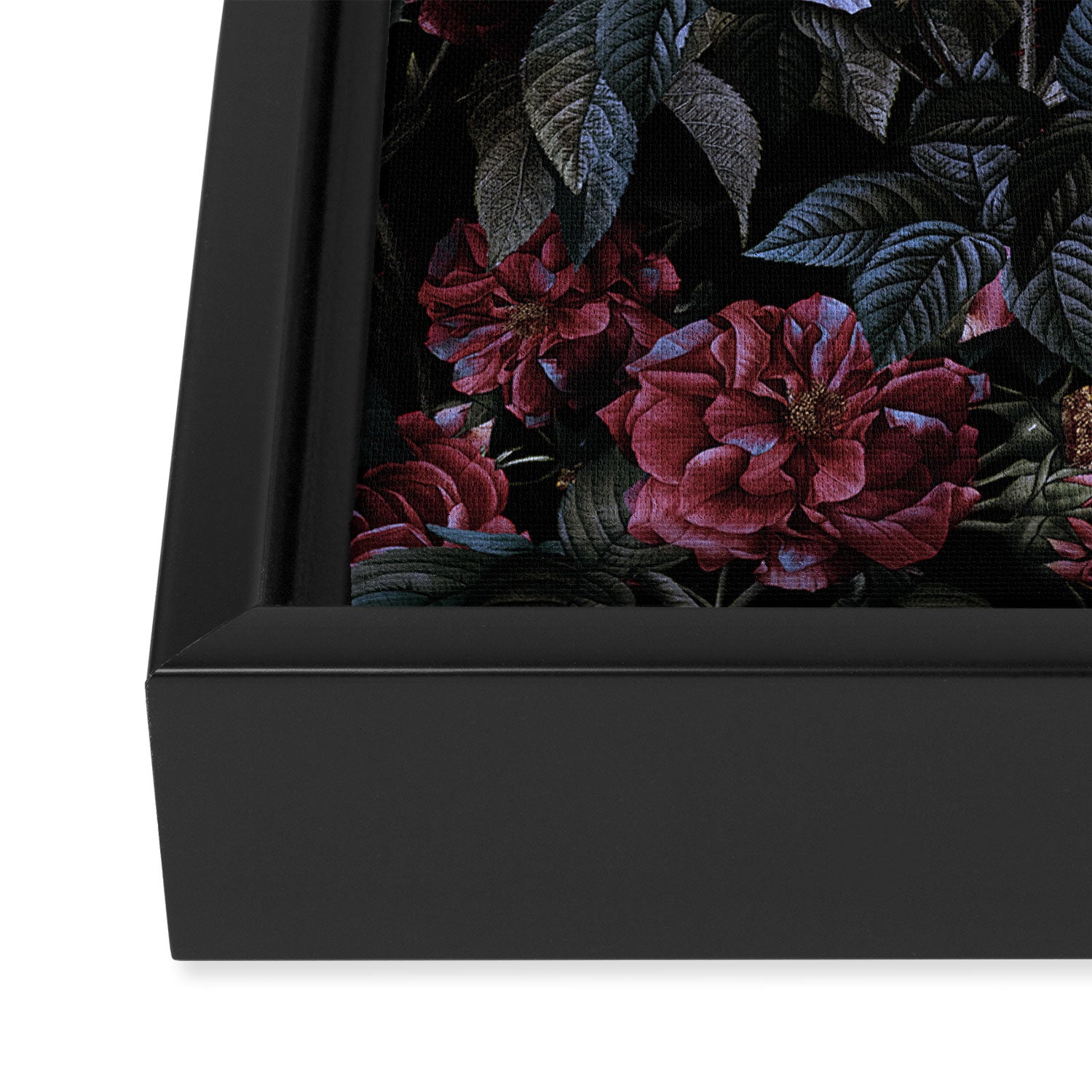 Roses Moon Garden Framed Canvas Print Gallery Image 3