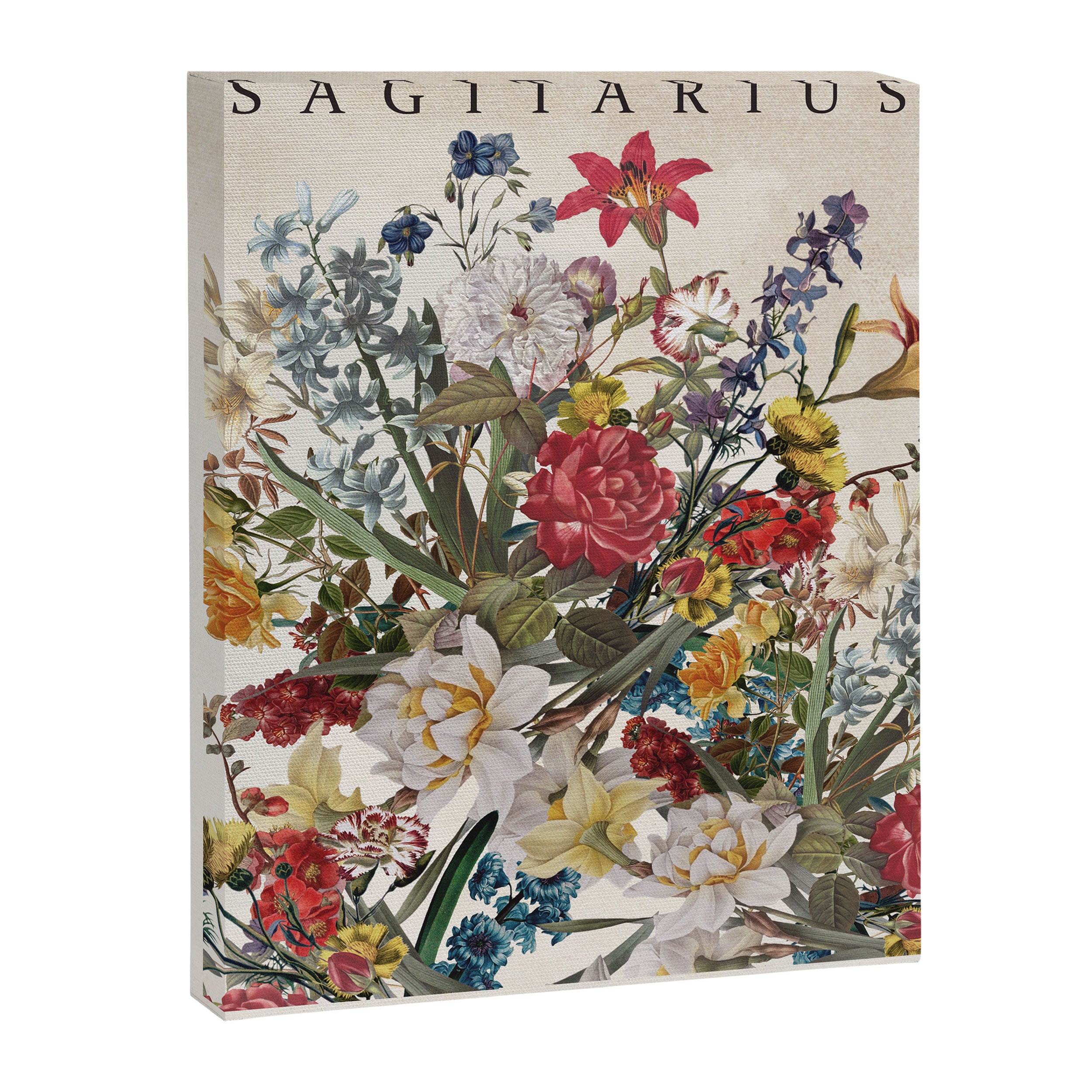 SAGITARIUS Canvas Print Gallery Image 6
