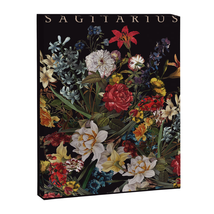 SAGITARIUS II Canvas Print Gallery Image 1