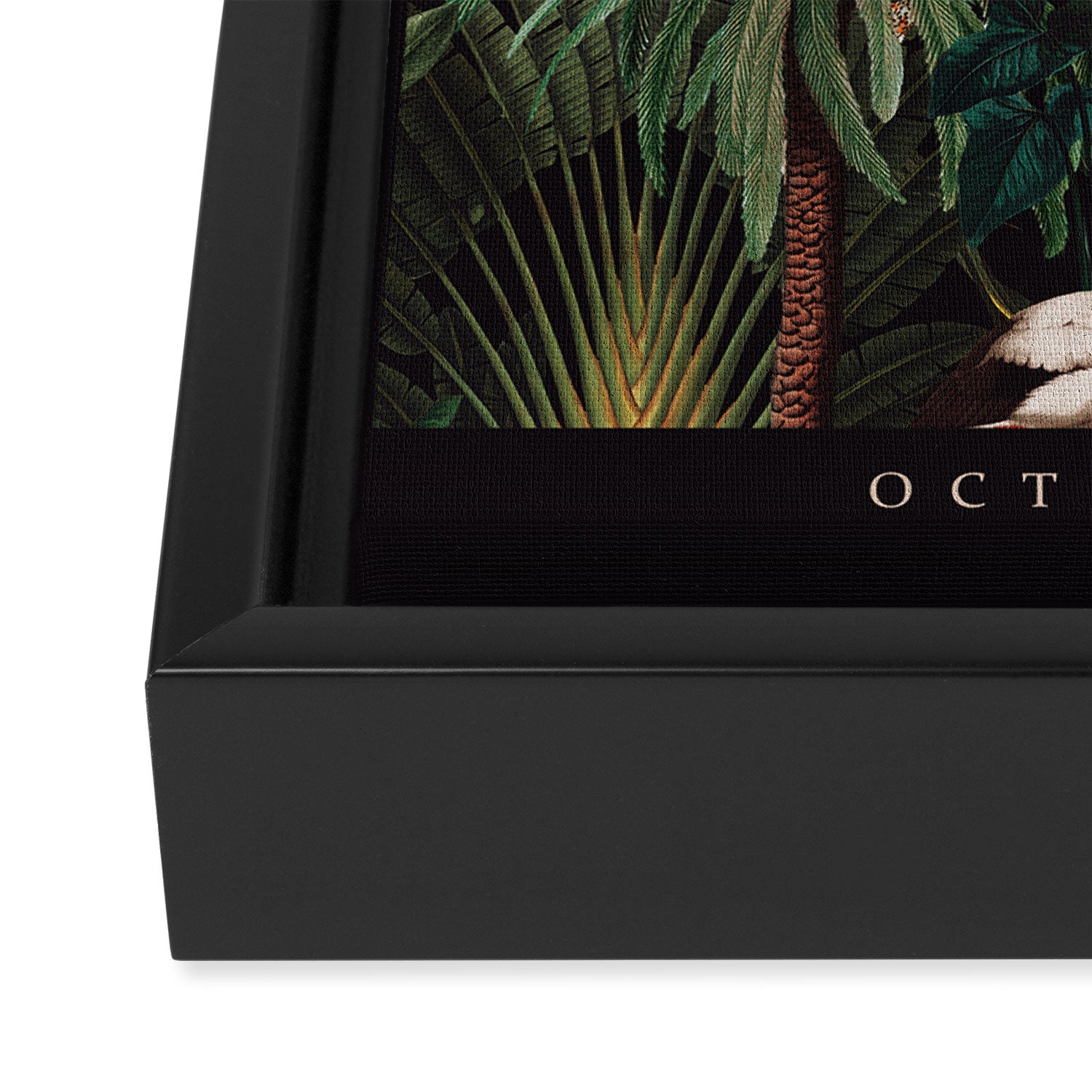 SCORPIO II Framed Canvas Print Gallery Image 3