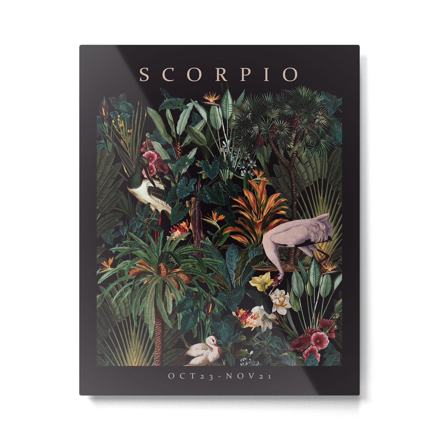 SCORPIO II Metal Print Gallery Image 4