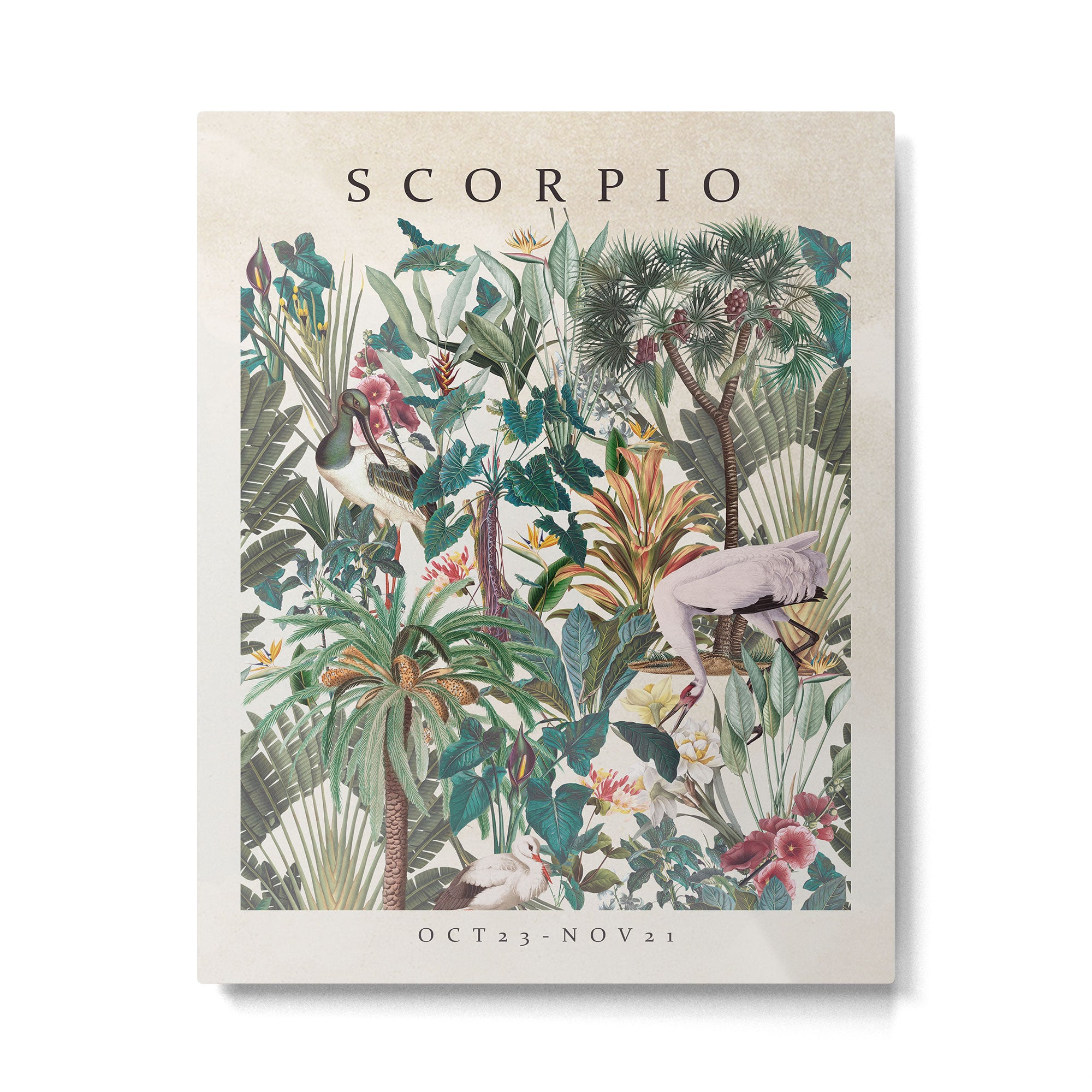 SCORPIO Metal Print Gallery Image 4