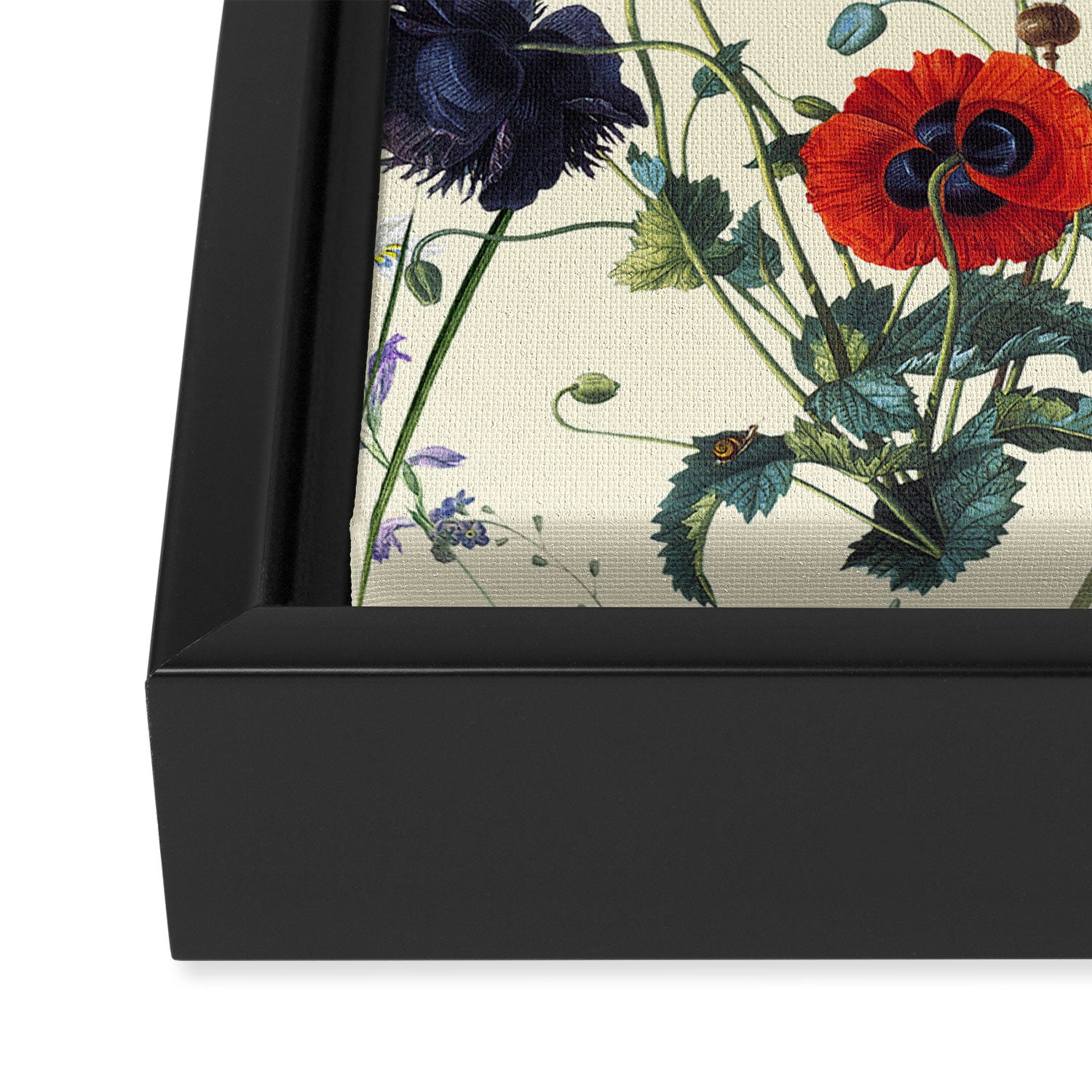 Secret Garden IV Framed Canvas Print Gallery Image 3