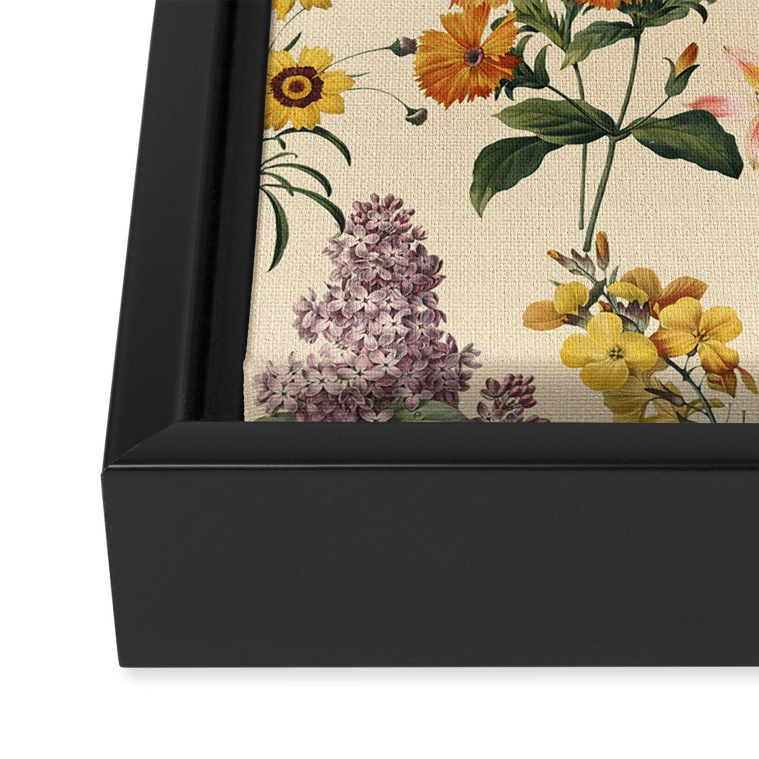 Secret Garden V Framed Canvas Print Gallery Image 3