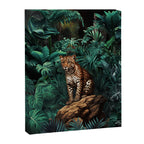 Shadow of the Leopard Canvas Print Gallery Image 6