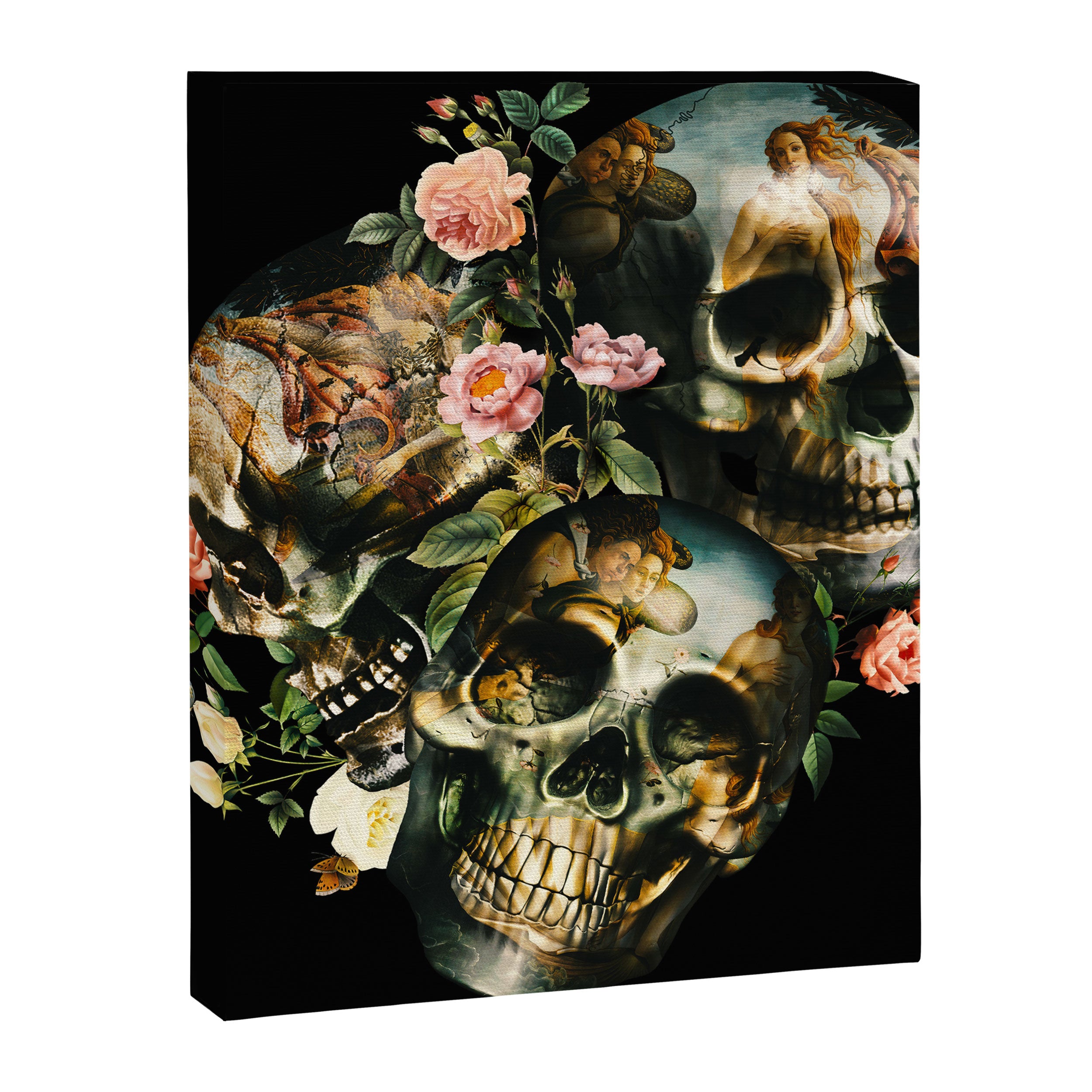 Skull & Venus Canvas Print Gallery Image 8