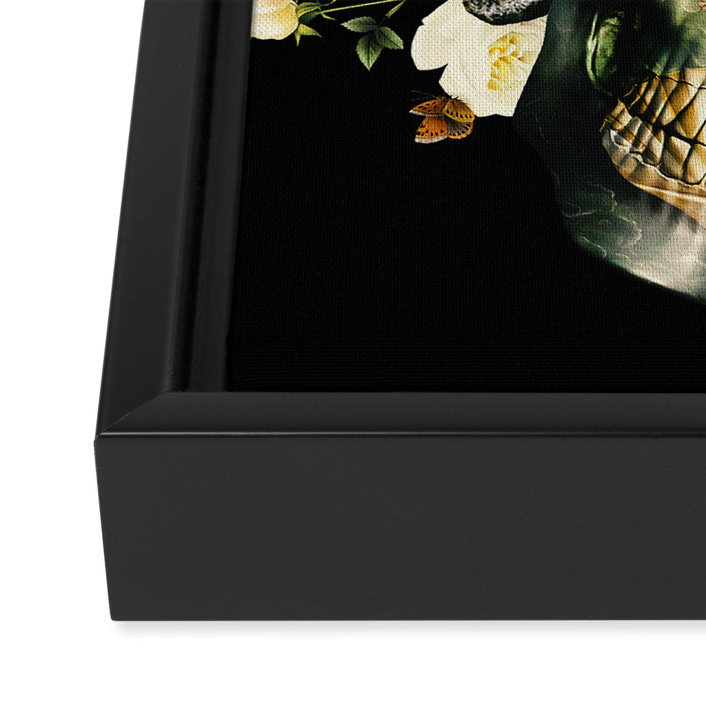 Skull & Venus Framed Canvas Print Gallery Image 3