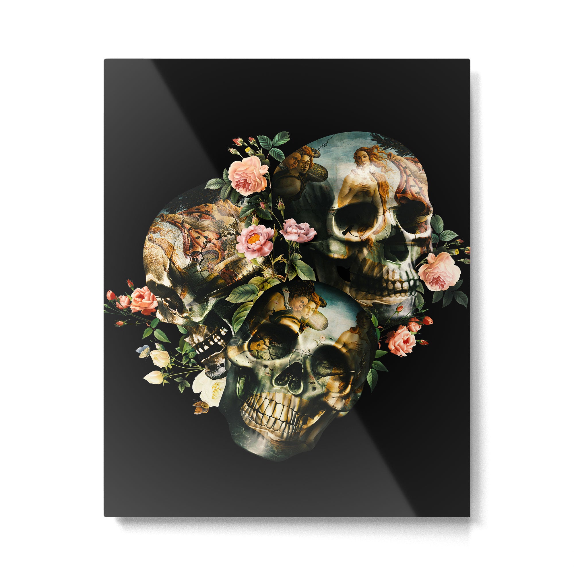 Skull  & Venus Metal Print Gallery Image 4