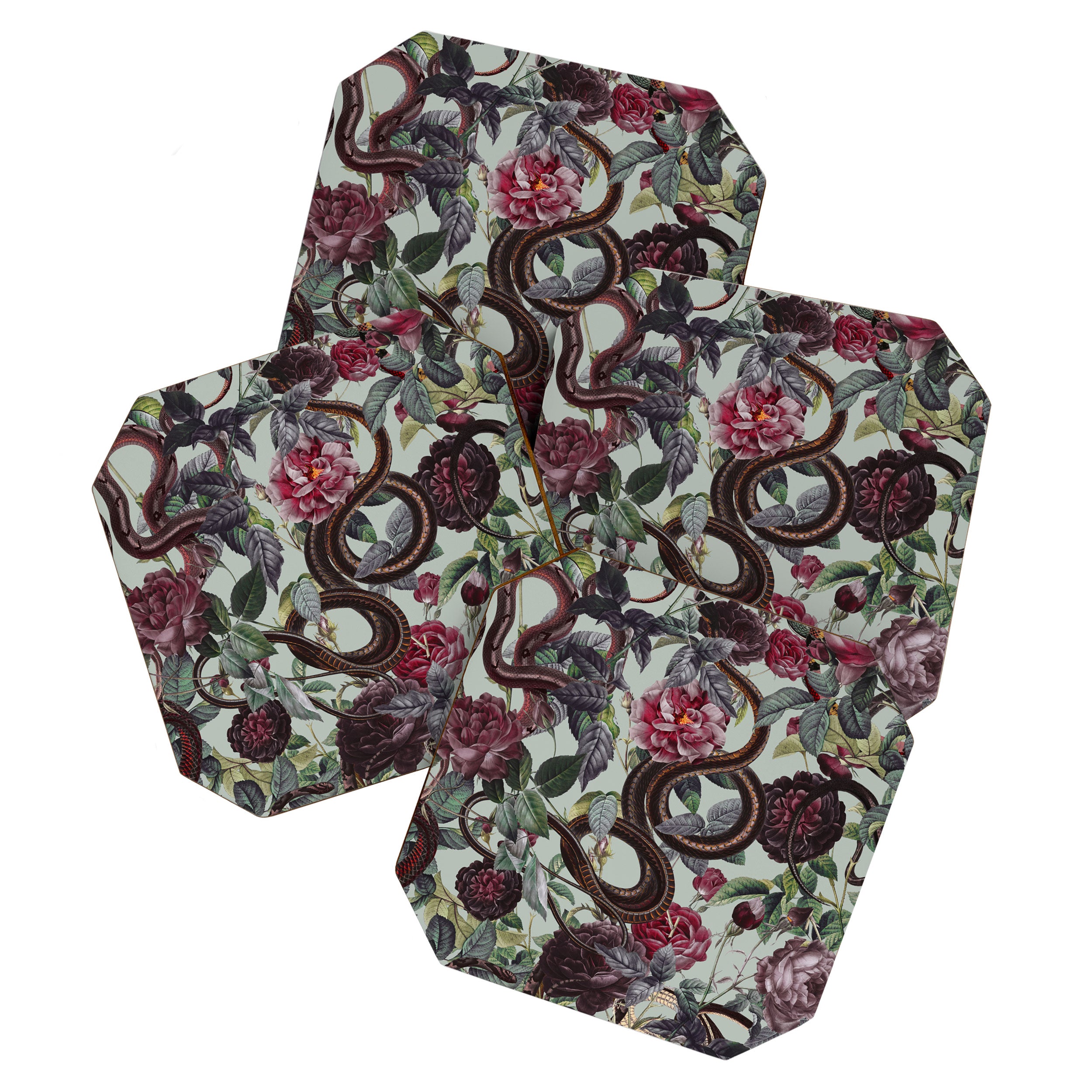 Snakes and Roses Coaster Gallery Image 1
