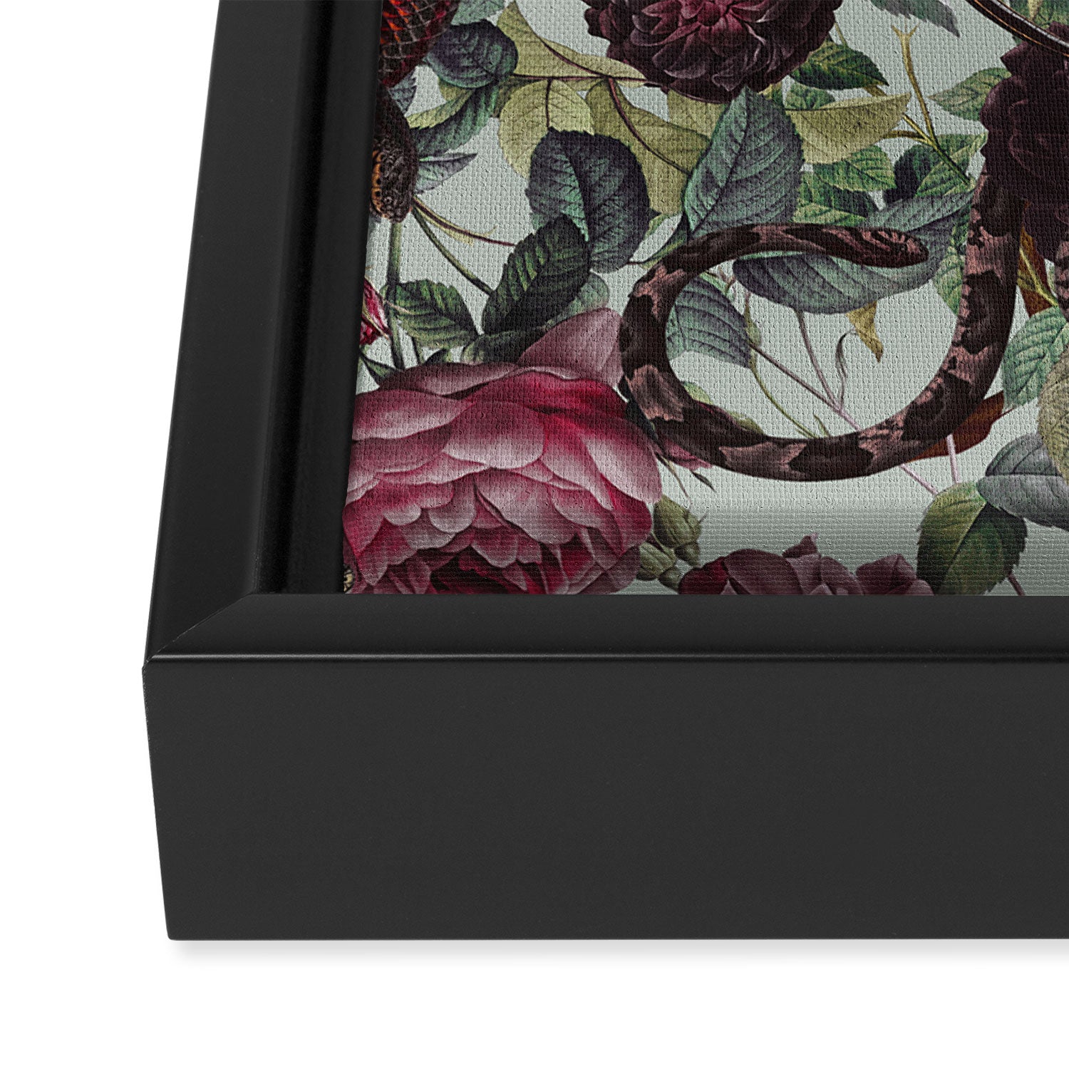 Snakes and Roses Framed Canvas Print Gallery Image 3
