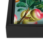Spring Summer 2022 Fruits Pattern Framed Canvas Print Gallery Image 3