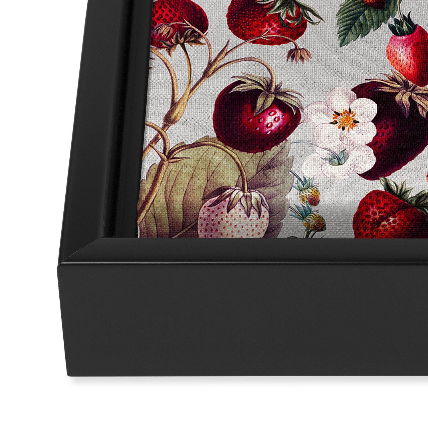 Strawberry Fields Forever Framed Canvas Print Gallery Image 3