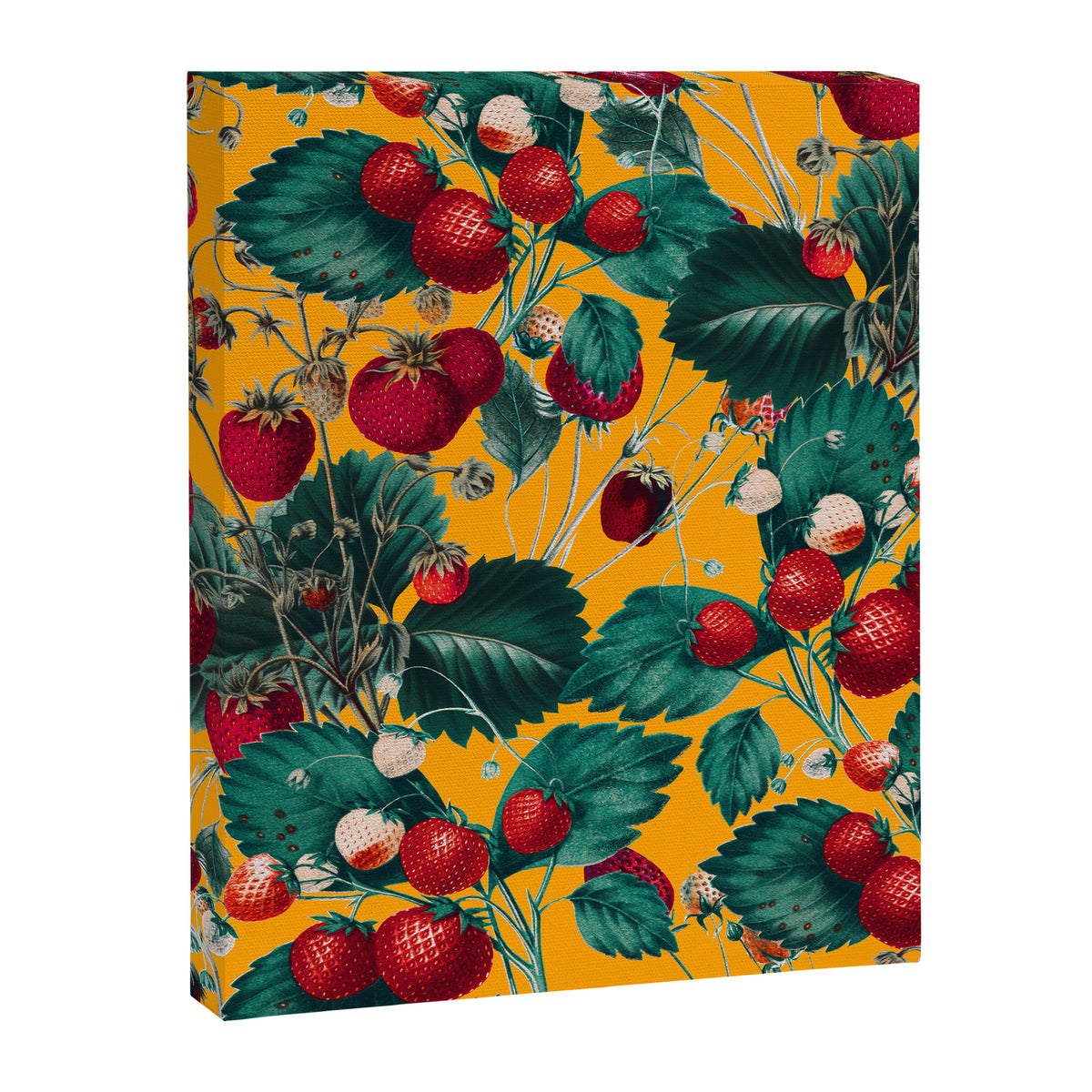 Strawberry Fields Forever IV Canvas Print Gallery Image 6