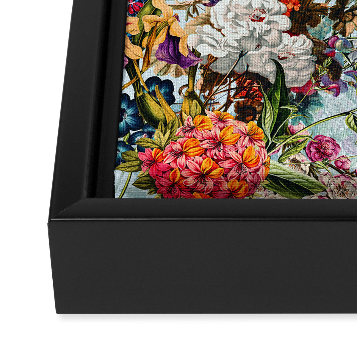 Summer Botanical Garden VIII Framed Canvas Print Gallery Image 3