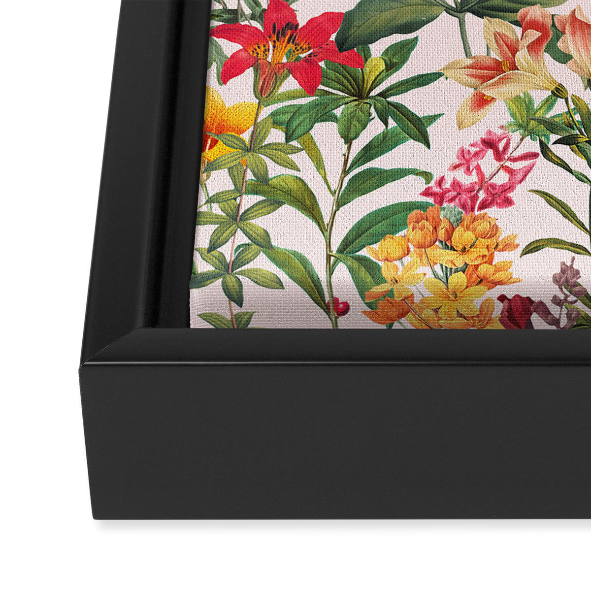 Summer Dreams II  Framed Canvas Print Gallery Image 3
