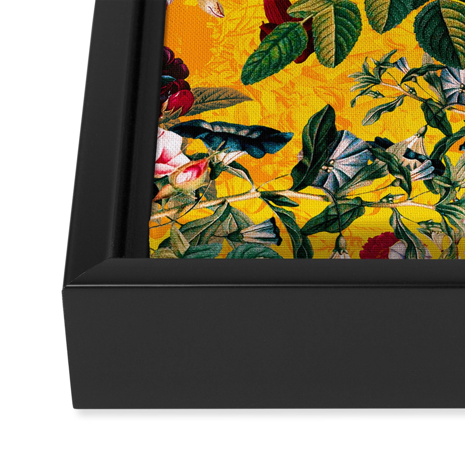 Summer is coming Framed Canvas Print Gallery Image 3