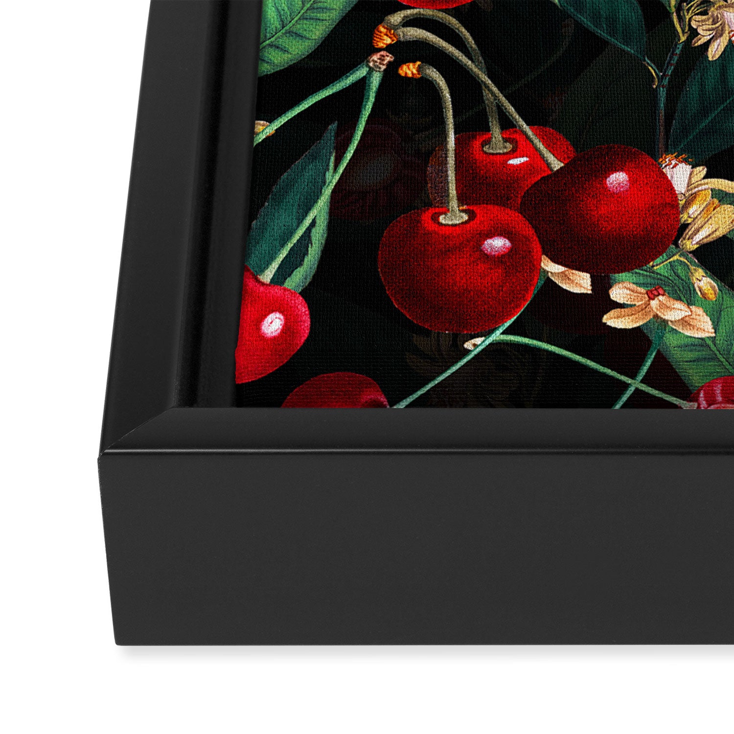 Sweet Cherry III Framed Canvas Print Gallery Image 3