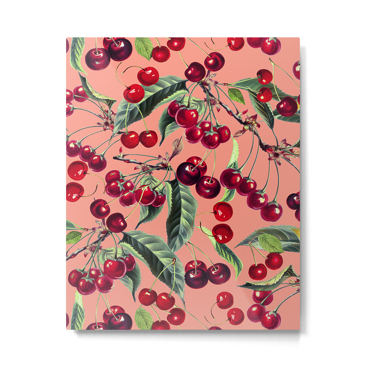 Sweet Cherry V Metal Print Gallery Image 4