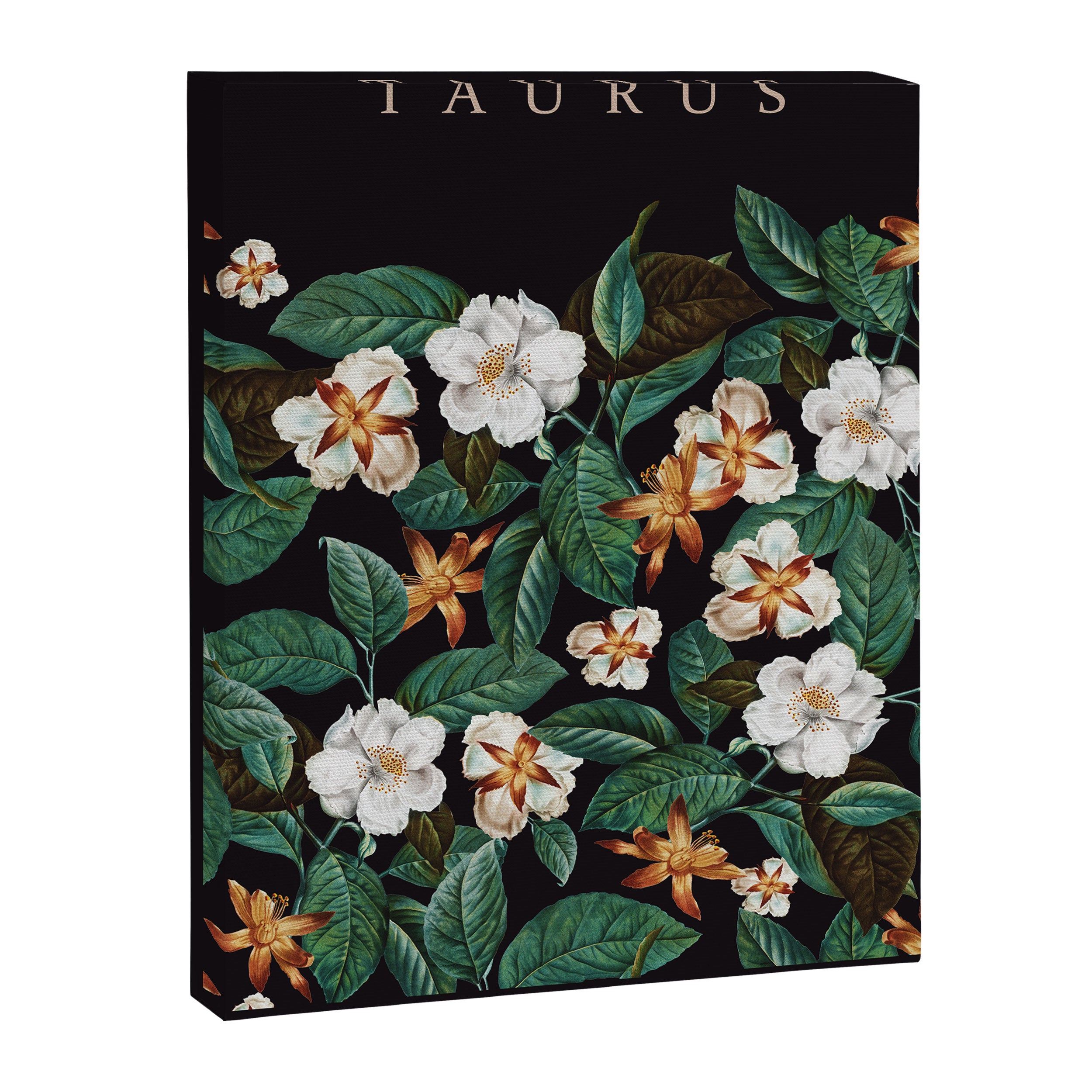 TAURUS II Canvas Print Gallery Image 6