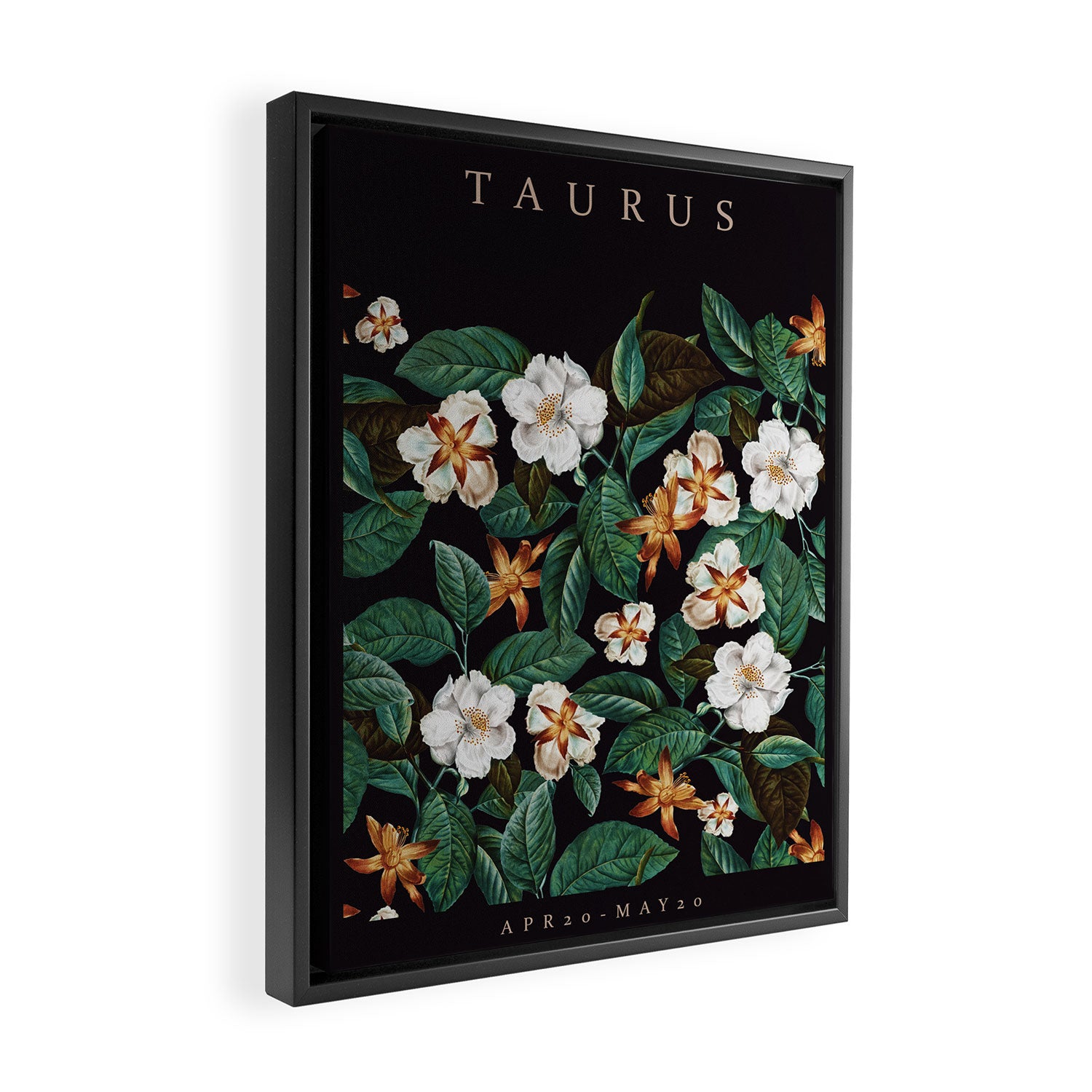 TAURUS II Framed Canvas Print Gallery Image 2