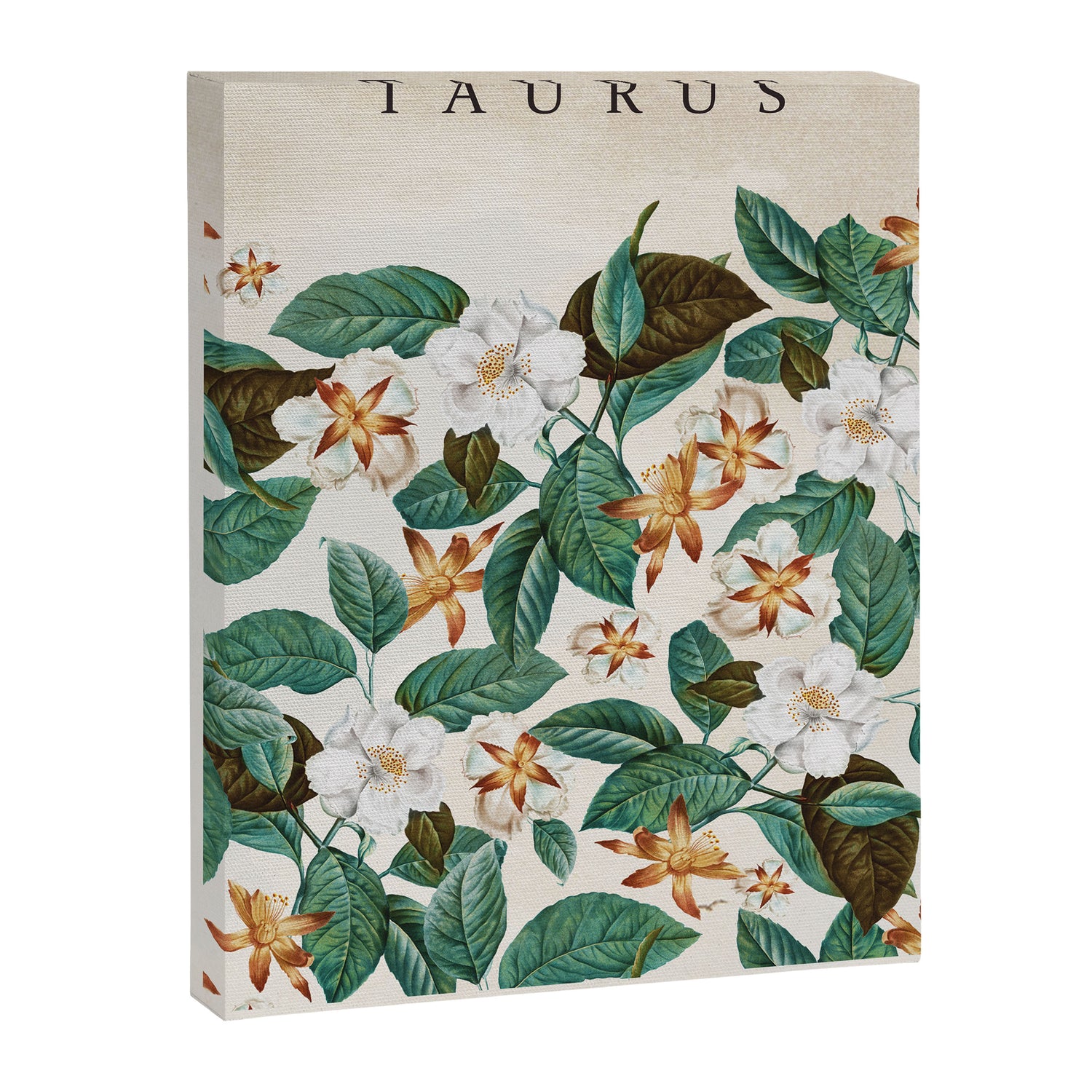TAURUS Canvas Print Gallery Image 3