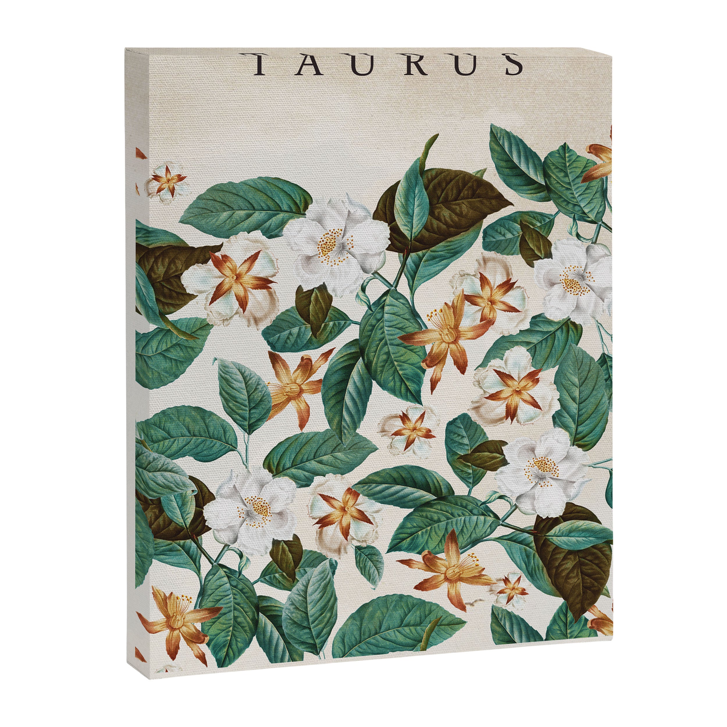 TAURUS Canvas Print Gallery Image 3