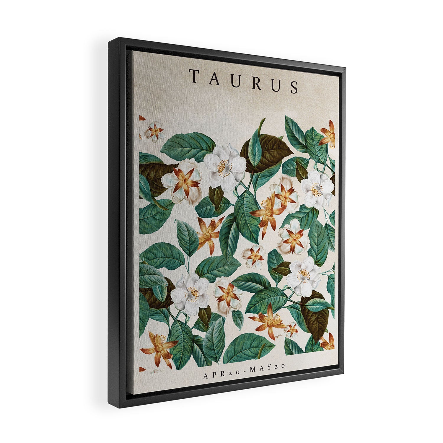 TAURUS Framed Canvas Print Gallery Image 2
