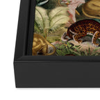 The beauty of the forest Framed Canvas Print Gallery Image 3