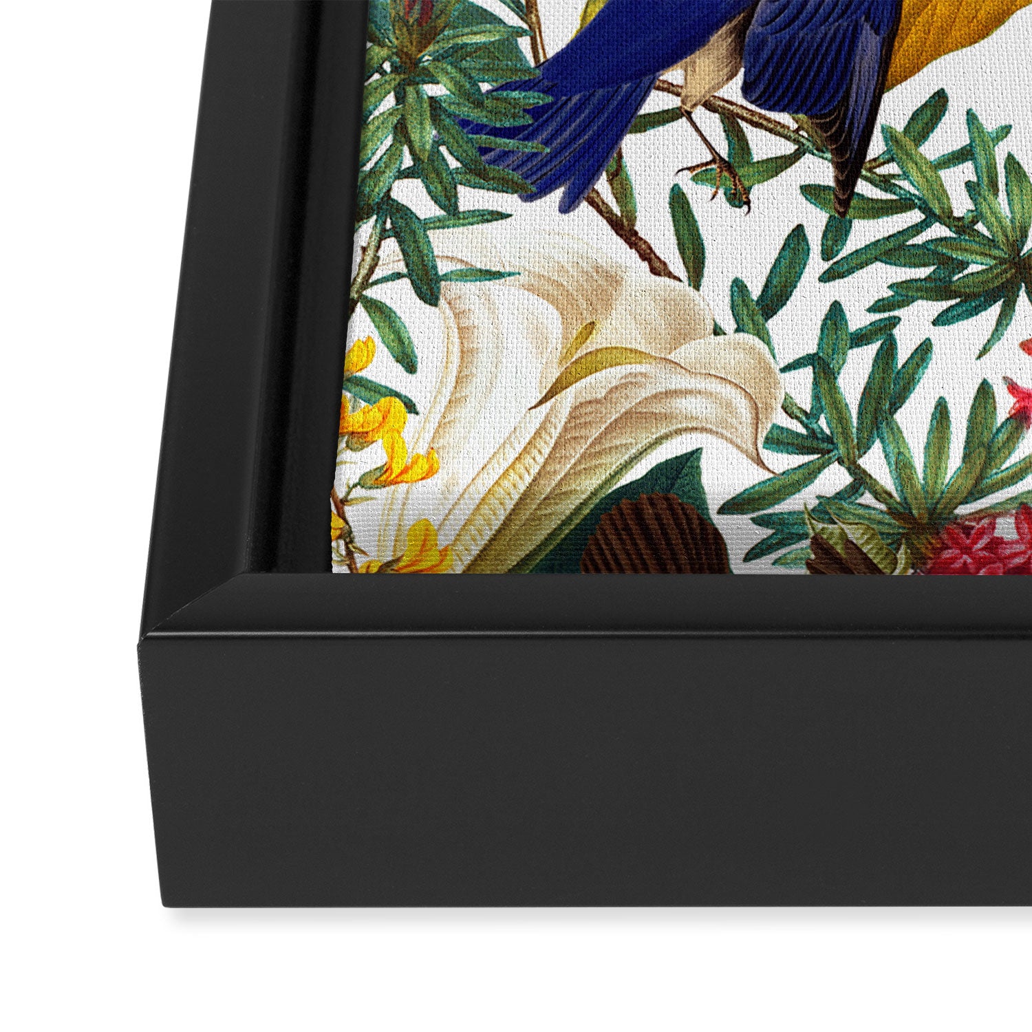 The Land of Birds II Framed Canvas Print Gallery Image 3