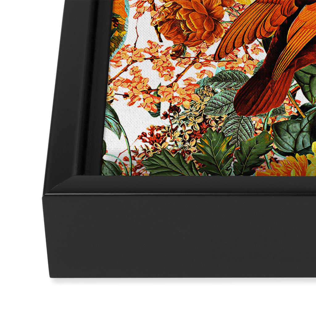 The Magical World of Birds II Framed Canvas Print Gallery Image 3