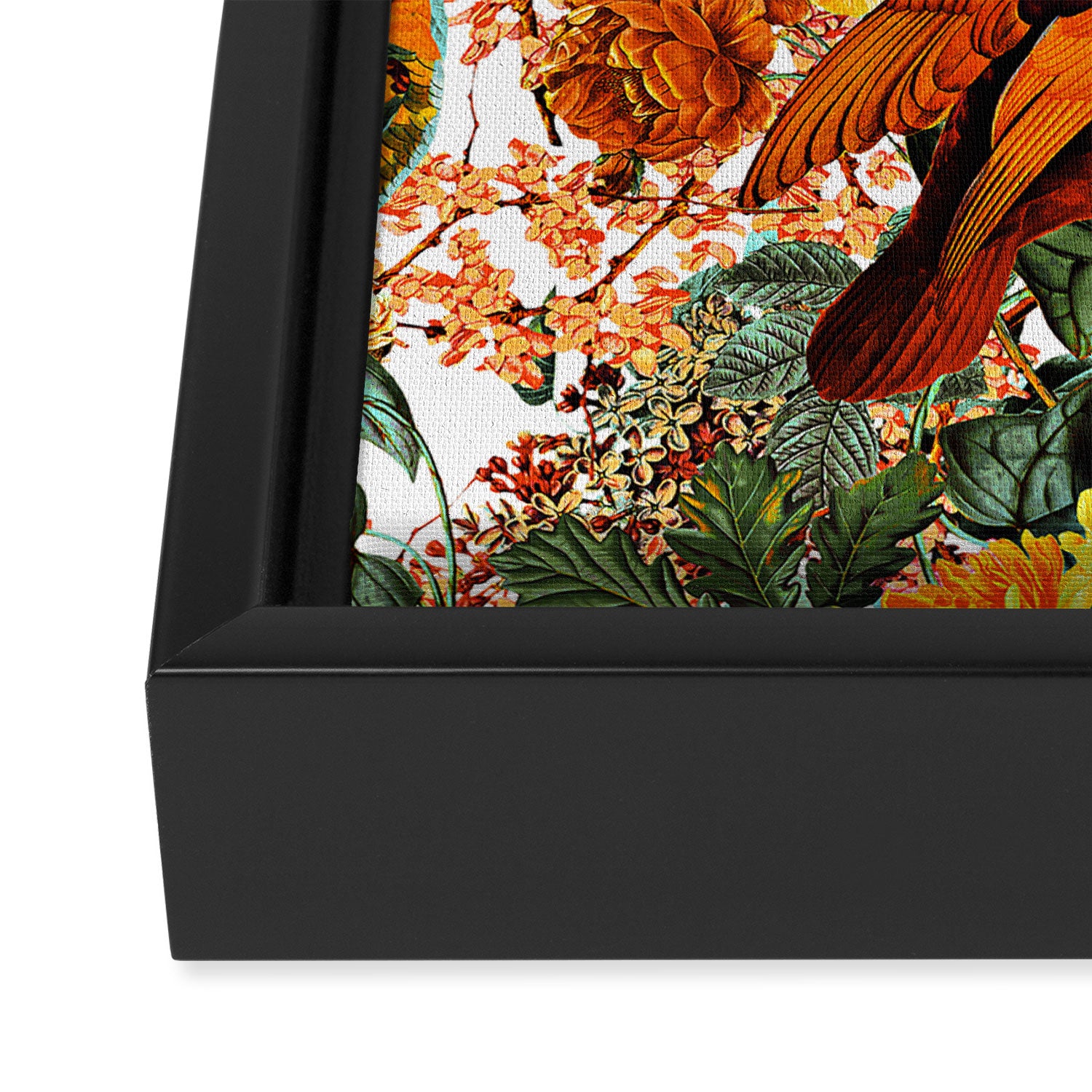 The Magical World of Birds II Framed Canvas Print Gallery Image 3
